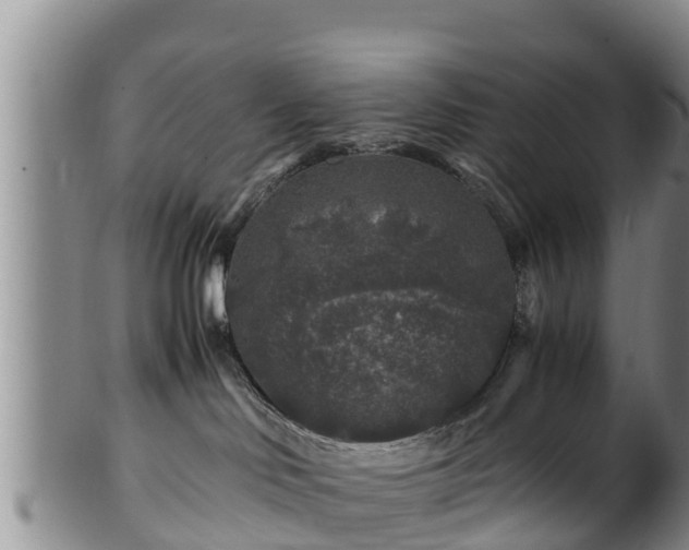 X0000100880046200806271148