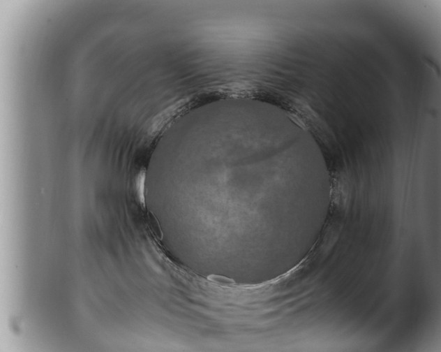 X0000100880047200806271148