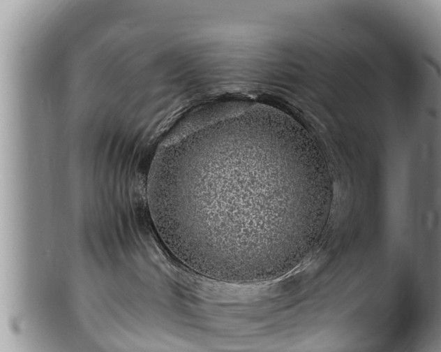 X0000100880048200806271148