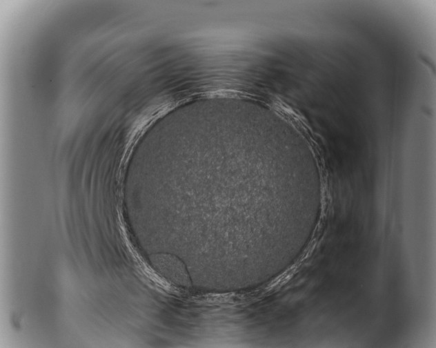 X0000100880049200806271147