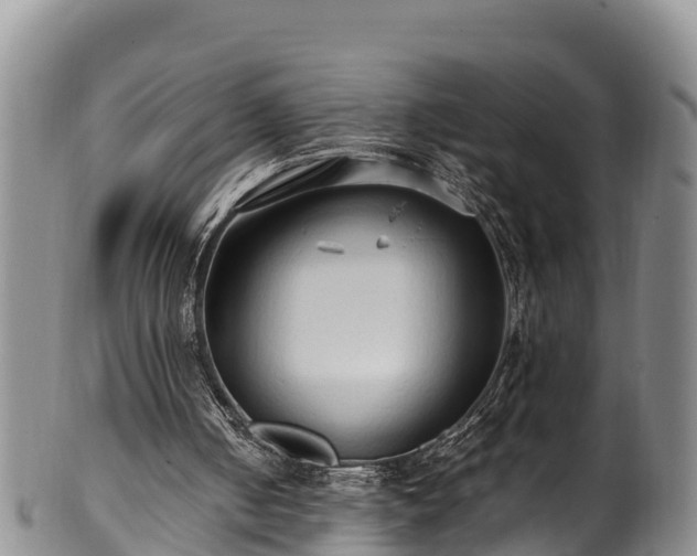 X0000100880050200806271147