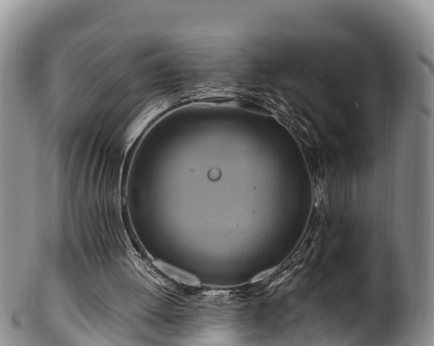 X0000100880052200806271147