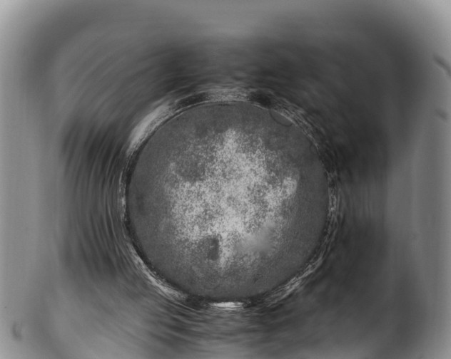 X0000100880053200806271147