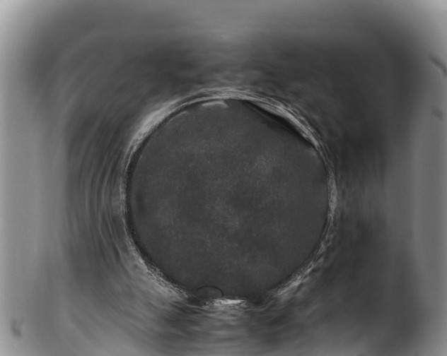 X0000100880055200806271147