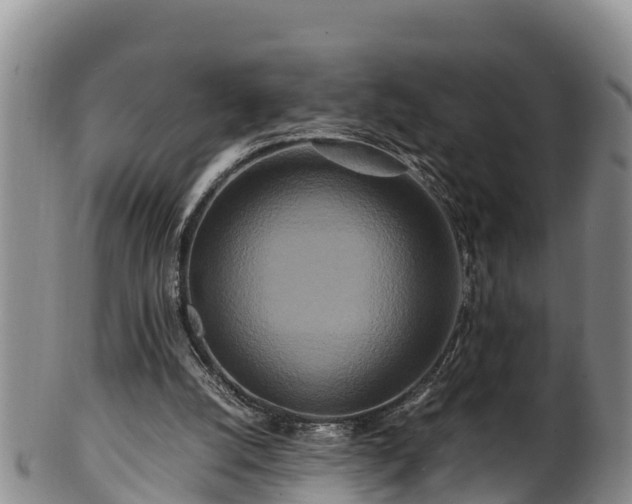 X0000100880056200806271147