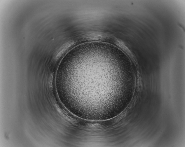 X0000100880058200806271147