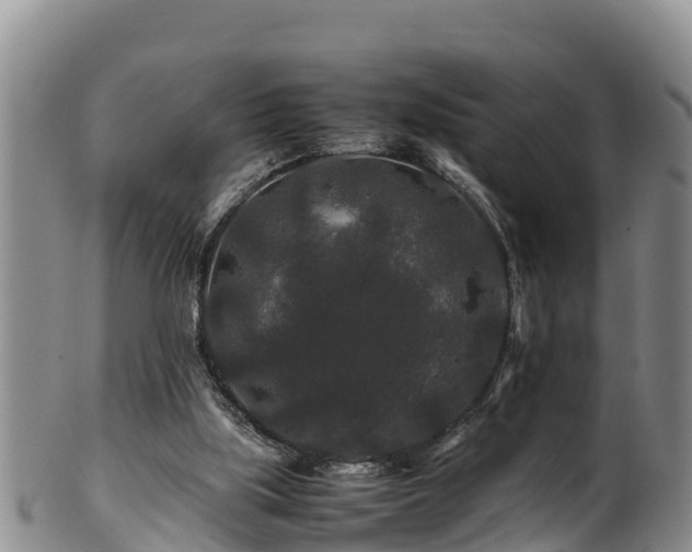 X0000100880059200806271147