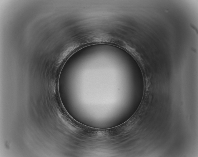 X0000100880060200806271147