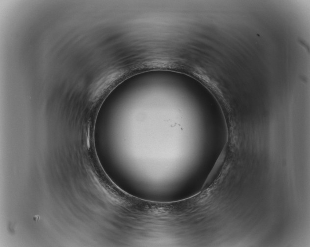 X0000100880062200806271148