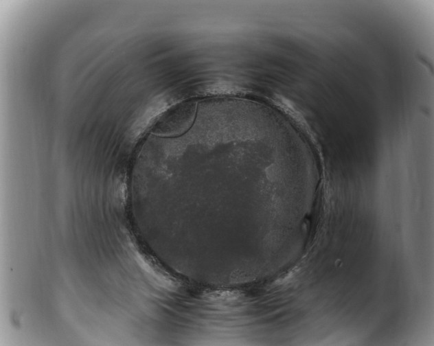 X0000100880063200806271148