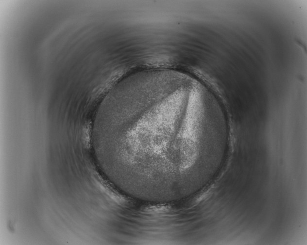 X0000100880065200806271148