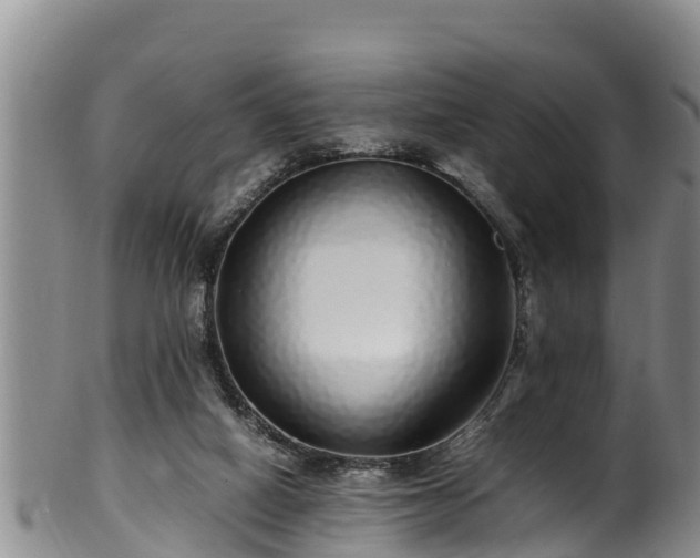 X0000100880066200806271148