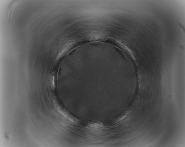 X0000100880067200806271148