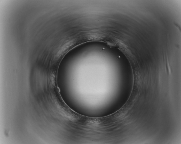 X0000100880071200806271148