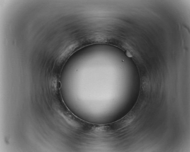 X0000100880072200806271148