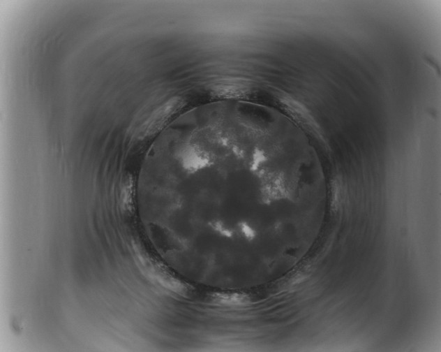 X0000100880073200806271148