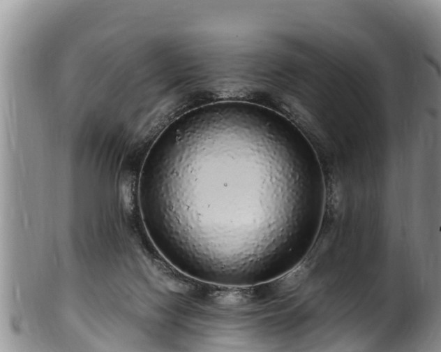 X0000100880074200806271148