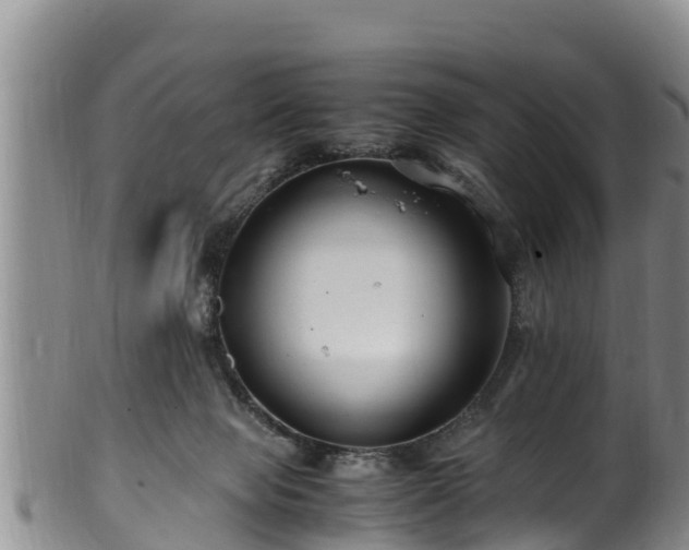 X0000100880077200806271148