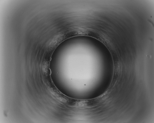 X0000100880078200806271148