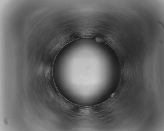 X0000100880079200806271148