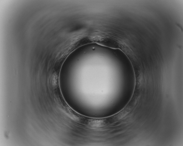 X0000100880081200806271148