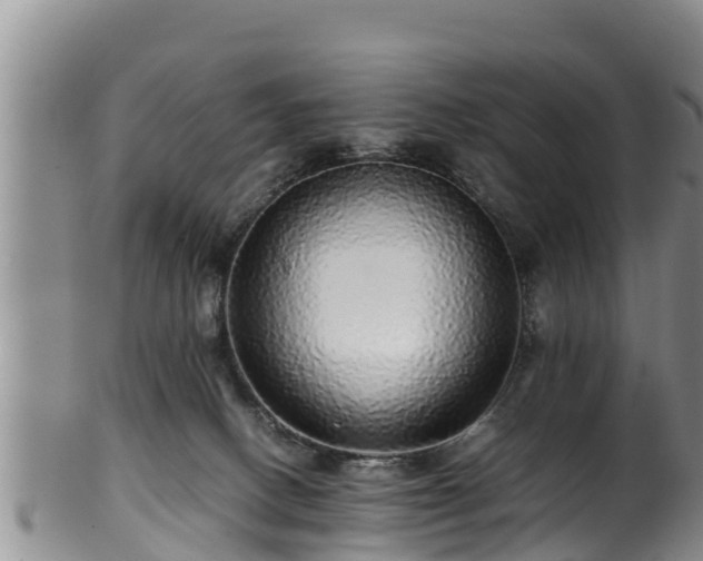 X0000100880082200806271148