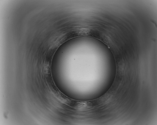 X0000100880083200806271148