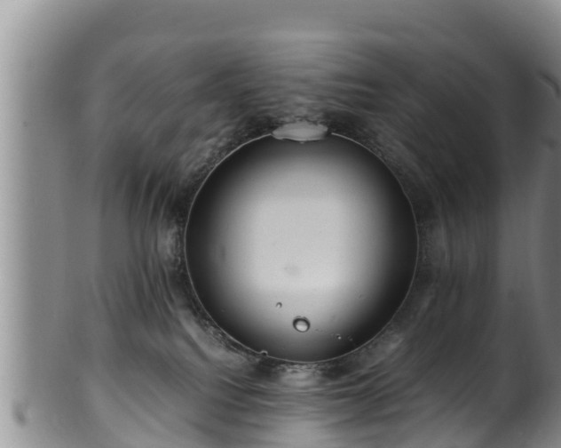 X0000100880088200806271148