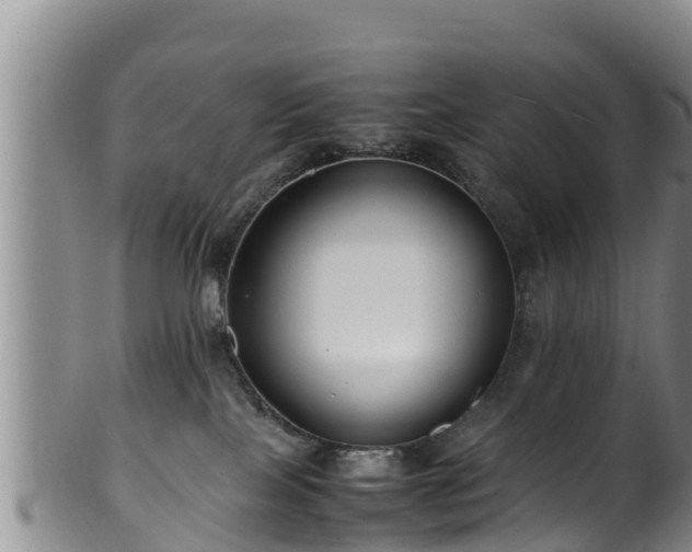 X0000100880089200806271148