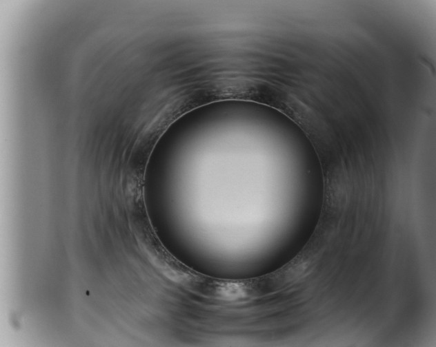 X0000100880091200806271148