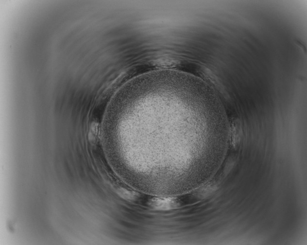 X0000100880093200806271148