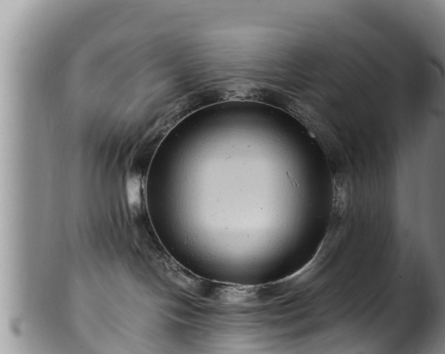 X0000100880094200806271148