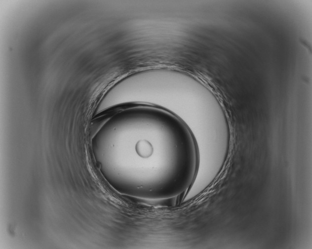 X0000100880097200806271147