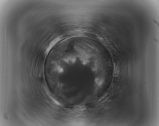 X0000100880099200806271147