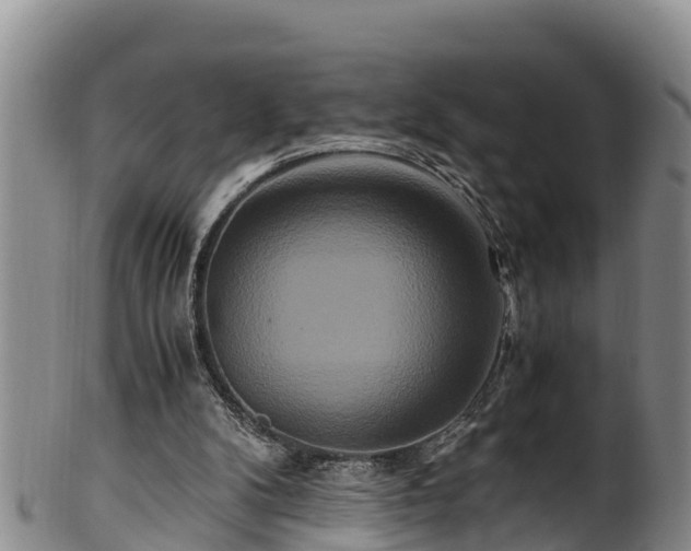 X0000100880104200806271147