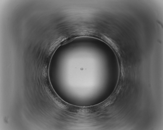 X0000100880105200806271147