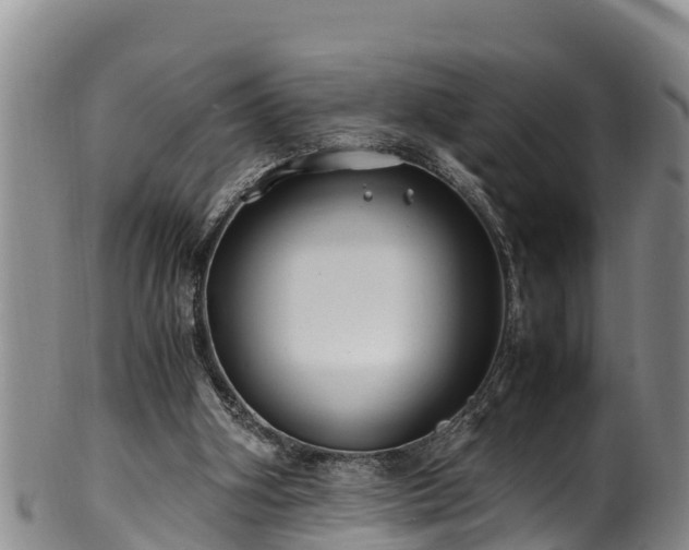 X0000100880106200806271147