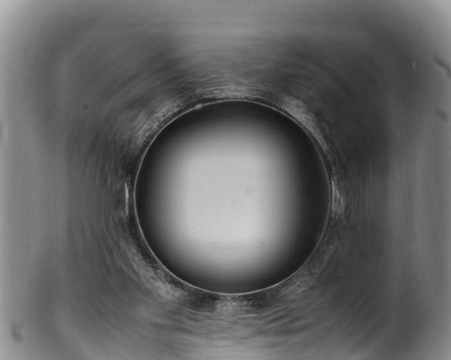 X0000100880109200806271147