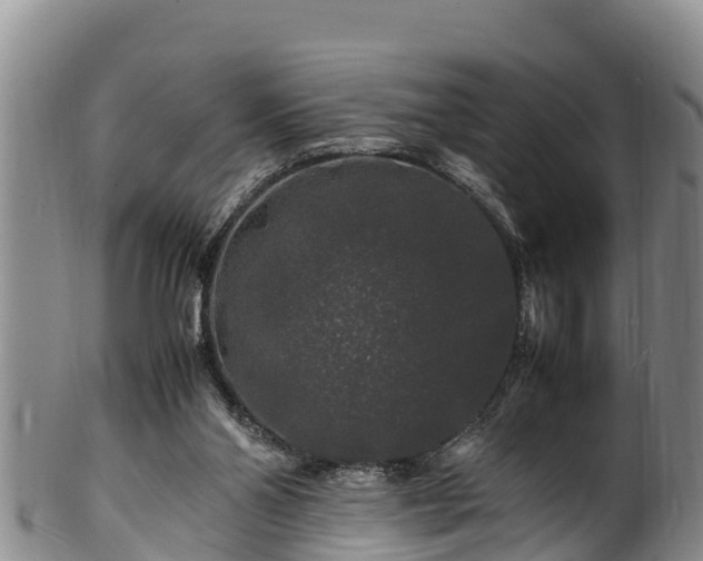 X0000100880110200806271147