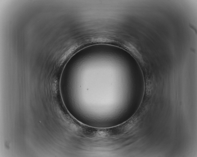 X0000100880111200806271147