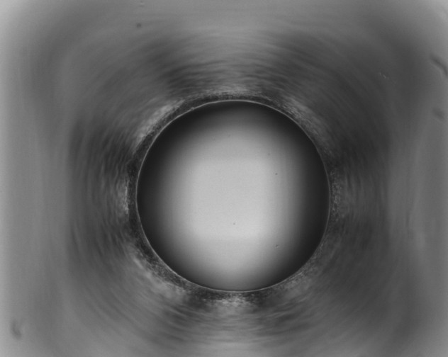 X0000100880112200806271147