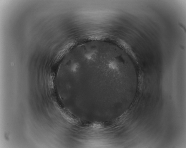 X0000100880114200806271147