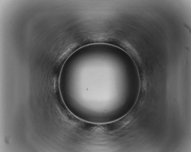 X0000100880115200806271147