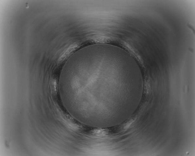 X0000100880117200806271147