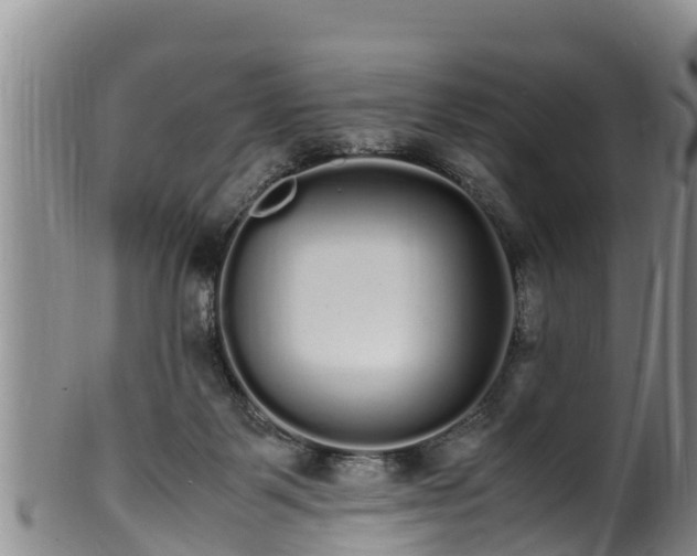 X0000100880123200806271147