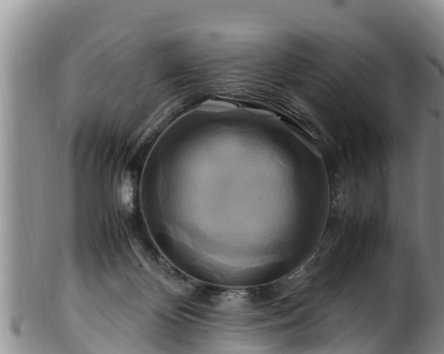 X0000100880124200806271147