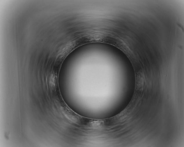 X0000100880126200806271147