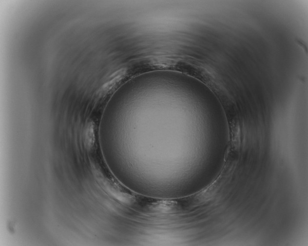 X0000100880128200806271147