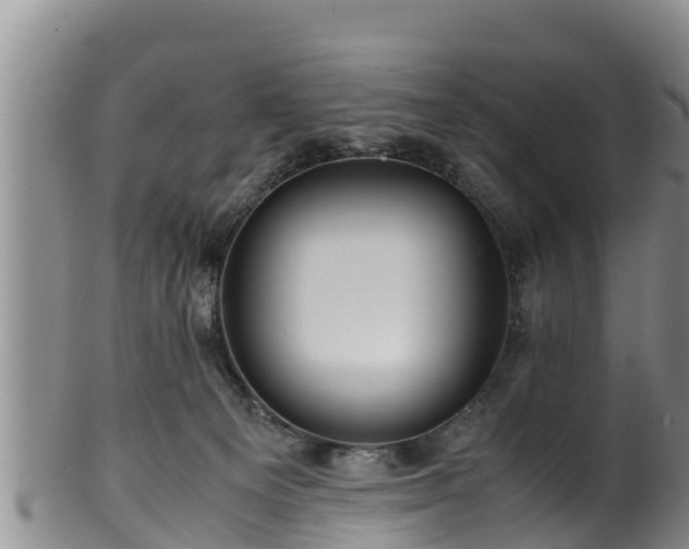 X0000100880129200806271147