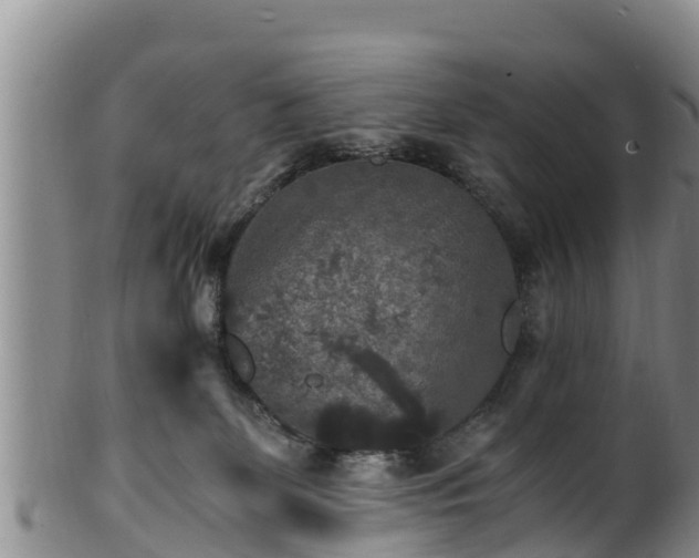 X0000100880131200806271147